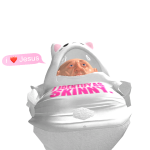 @unicorny213456