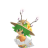 WNCHAOS