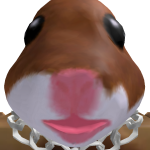 @epicCatgaming123