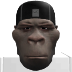 @GearToad
