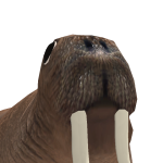 @iistrxwb8rry
