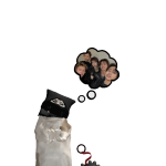 @totallynot_C3CE