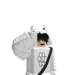 @Spyninjagirl202
