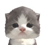 @koko512001