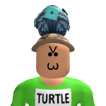 @TerrificTurtle234