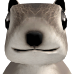 @asv10
