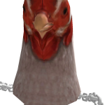 @Xzd0llzX