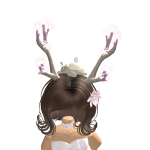@roblox_user_2036109058