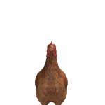@christehpher