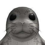 @noobthinghello