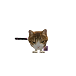 @tigercat683