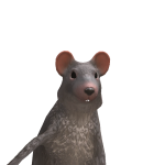@robloxguril15