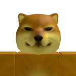 @wslippers