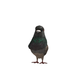 @darkvoyager6732