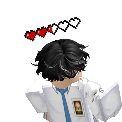 Roblox profile picture for @wanzwjy