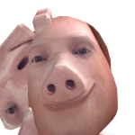 @38scocunotz