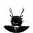 2x_6f