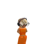 @VA1ID_R3M11