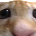 @kanoonthegamer