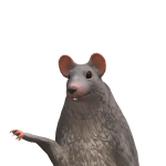 @URloCal_CAtpersonlol