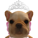 @unicornbubblegoat67