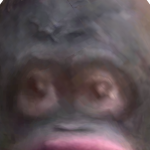 @ItzzzzzYaBoiiiiii