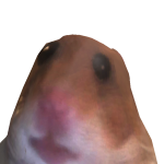 @b0n_b0n1324