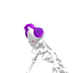 @ikerarg17
