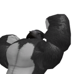 @AwesomeFireBeast64