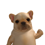 @CONST3LLAT1ONS