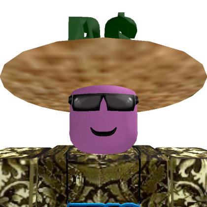 roblox_user_119782