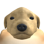 @pigicat