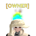 @OWNER_CSM
