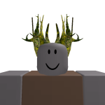 @ordinary_ricealt