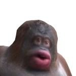 @d4ni_k4thl33n