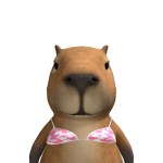 @poppooopoppooo