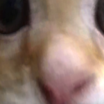 @slowlylittleturtle