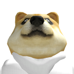 @LionsJustice12