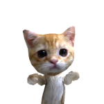 @Tania_1900