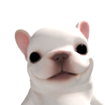 @trqnnguyen
