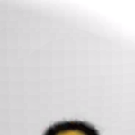 @iiHaleeii