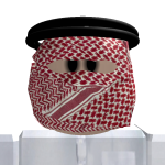 @Bin_Rashid94