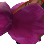 @rood748