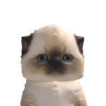 @hmelevskaiaaa