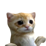 @danisabozahaahahhq