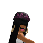 @getveiled