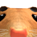 rhys