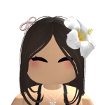 @LisyGatirobloxYT12