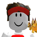 robot_homka24