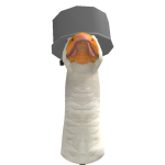 @Cynlite